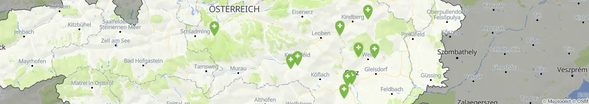 Map view for Pharmacy emergency services in Steiermark (215)